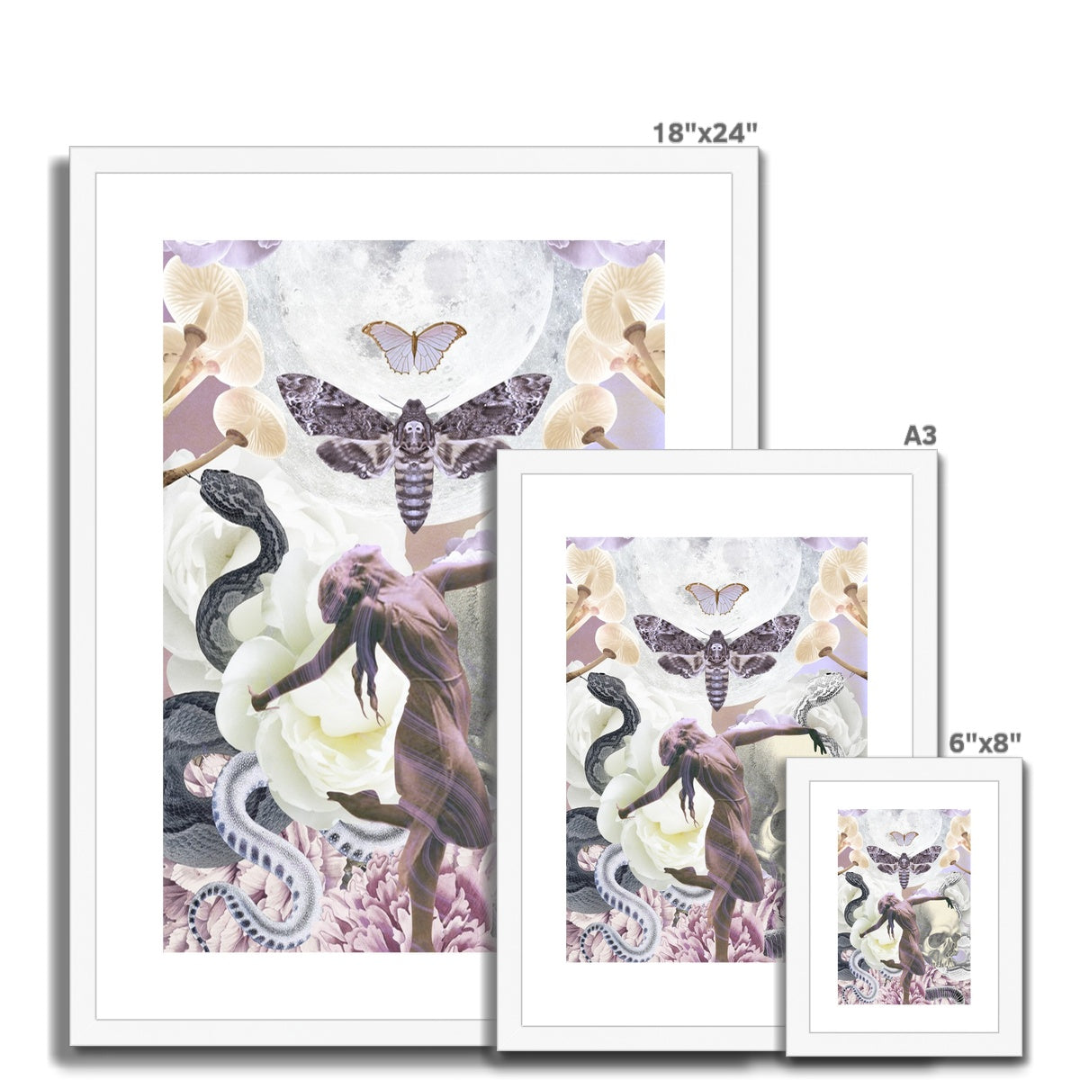 Transformation Framed & Mounted Print - Starseed Designs Inc.