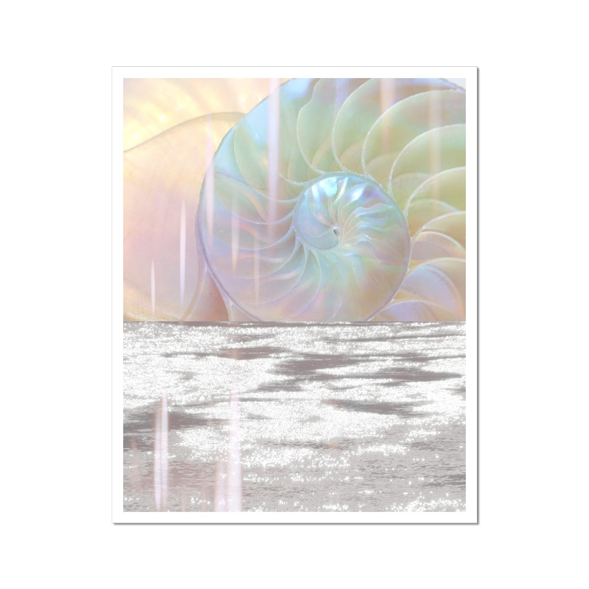 Divine Spiral Fine Art Print - Starseed Designs Inc.