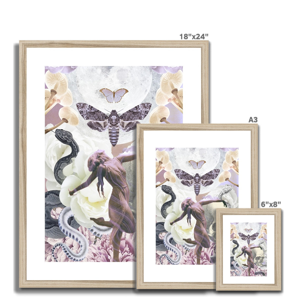 Transformation Framed & Mounted Print - Starseed Designs Inc.